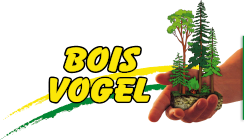 Bois Vogel